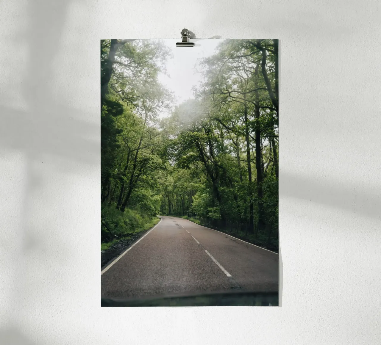 Forest Road poster da Lena Stamm