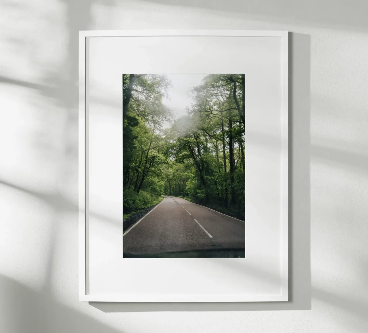 Forest Road poster da Lena Stamm