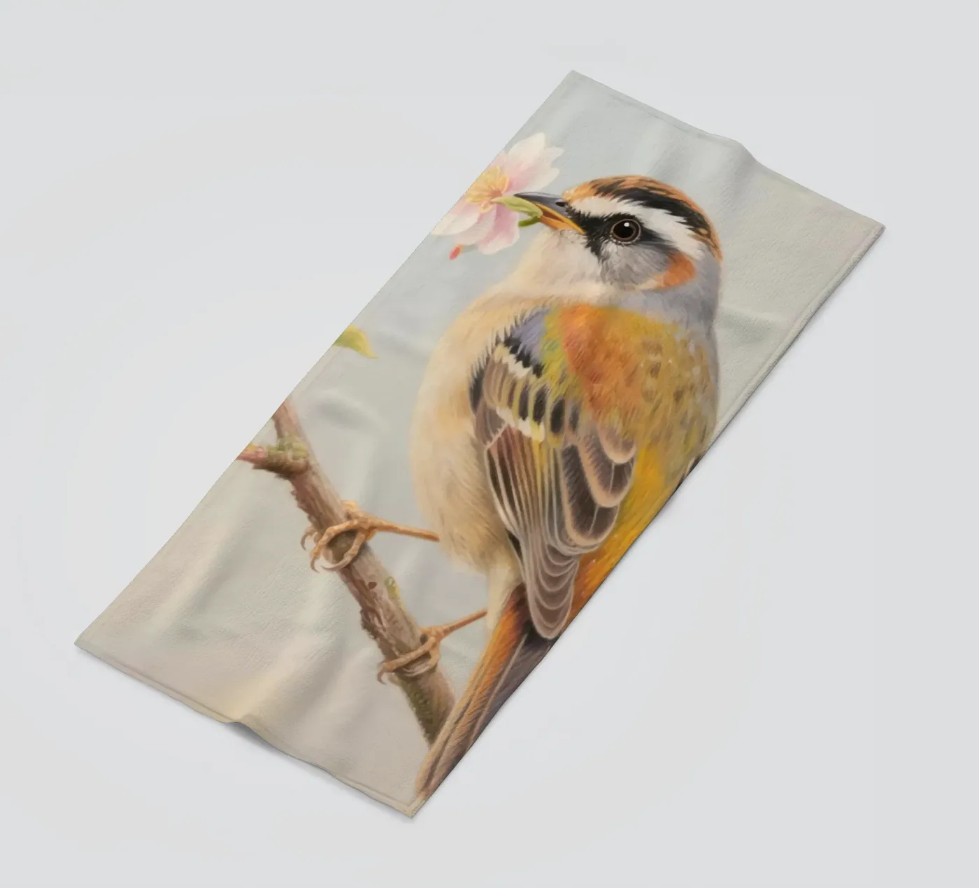 Uccellino telo mare da knowledge