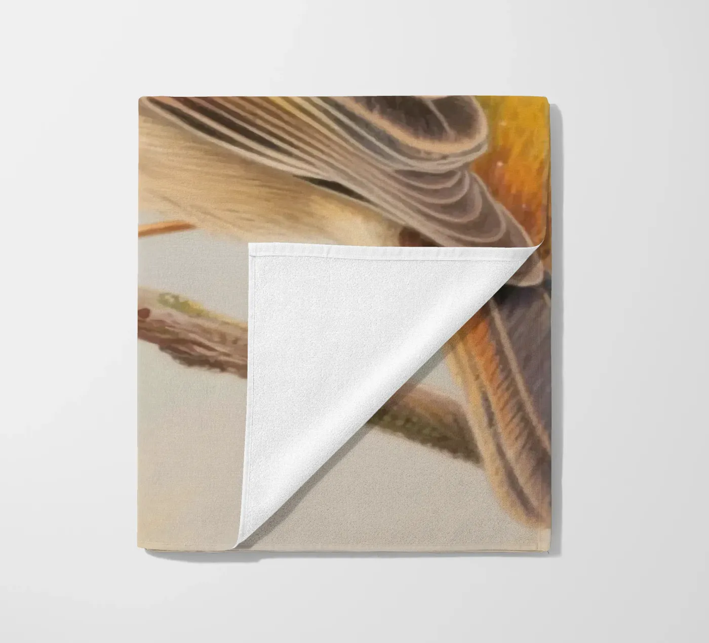 Uccellino telo mare da knowledge