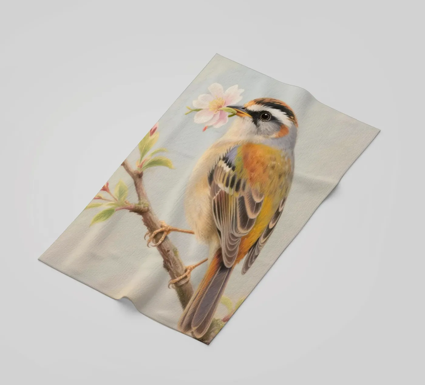 Uccellino telo mare da knowledge