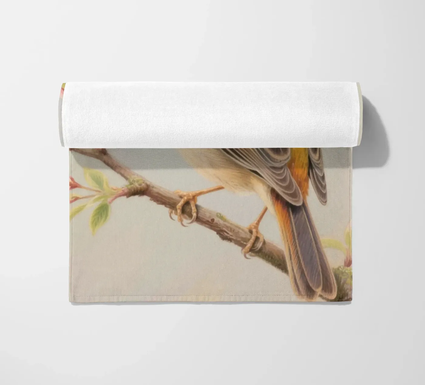 Uccellino telo mare da knowledge