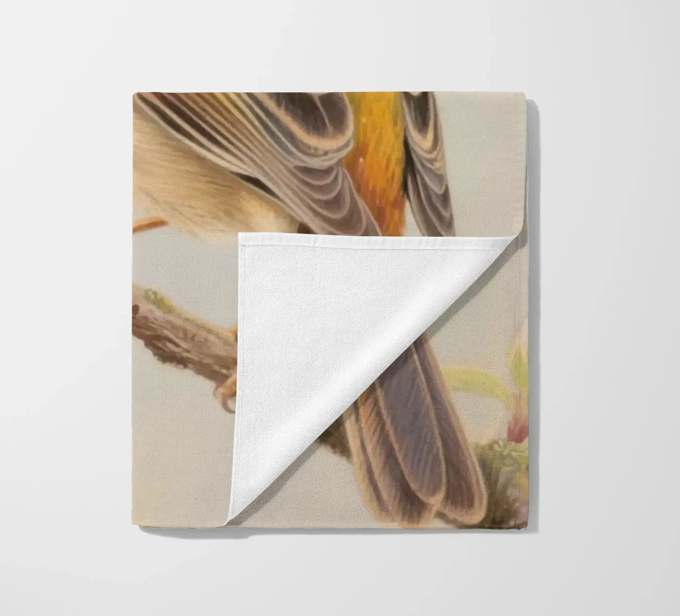 Uccellino telo mare da knowledge