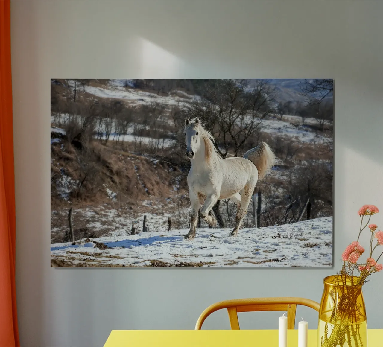 Cavallo bianco alla luce dell'inverno - Stampa fine art poster con telaio in alluminio da jay