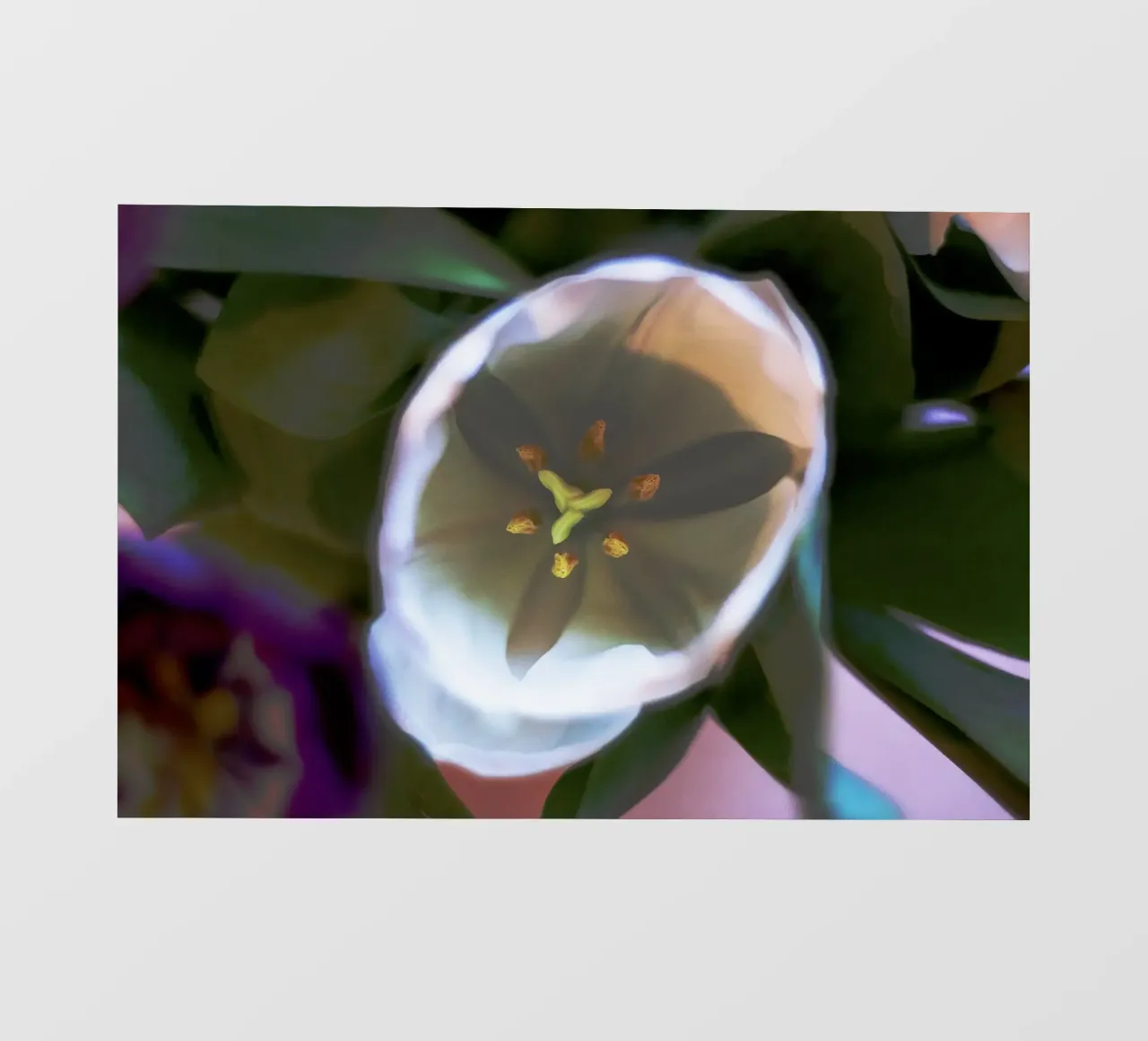 Inner Bloom - Abstract Witte Tulp Fine Art Print fotobehang van jay