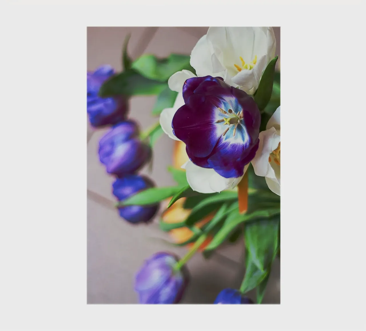 Curiosity in Bloom – Abstract Tulip Arrangement notebook by jay