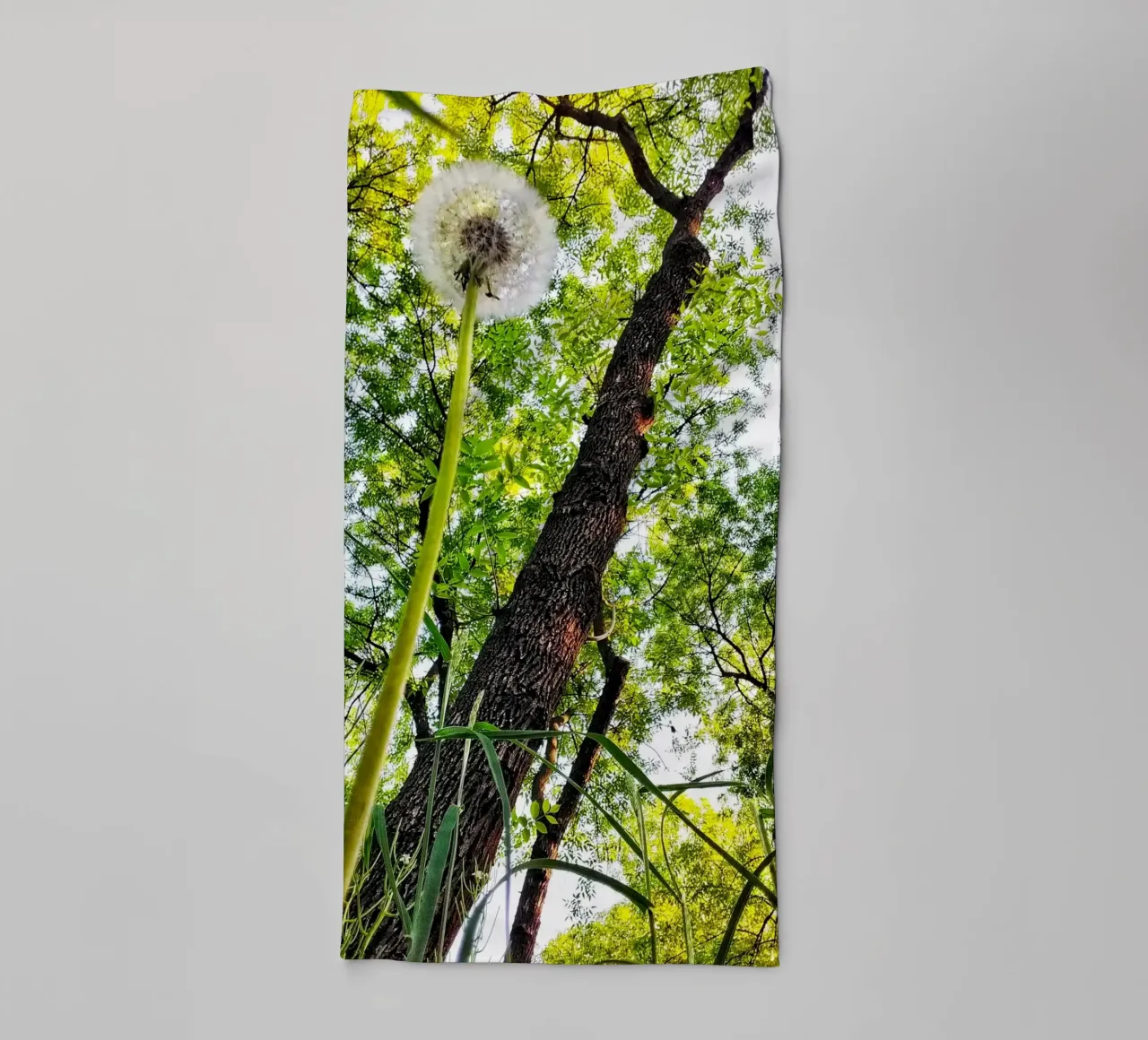 Whispers of the Ancient – Fine Art Print towel by jay