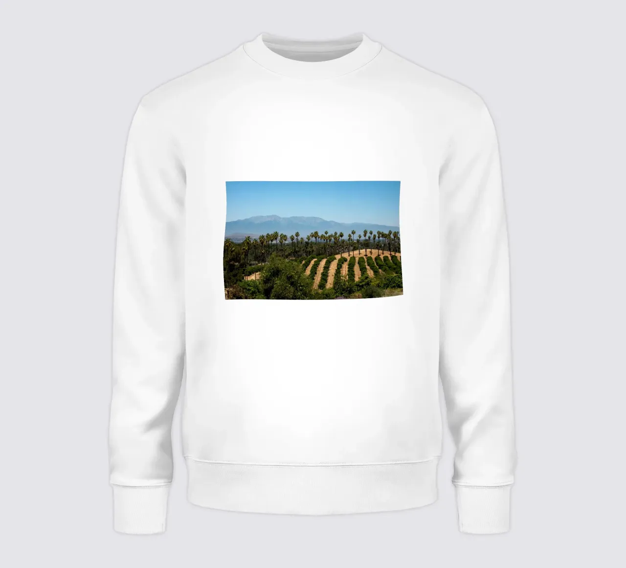 collina forestale felpa da Earthly Visions