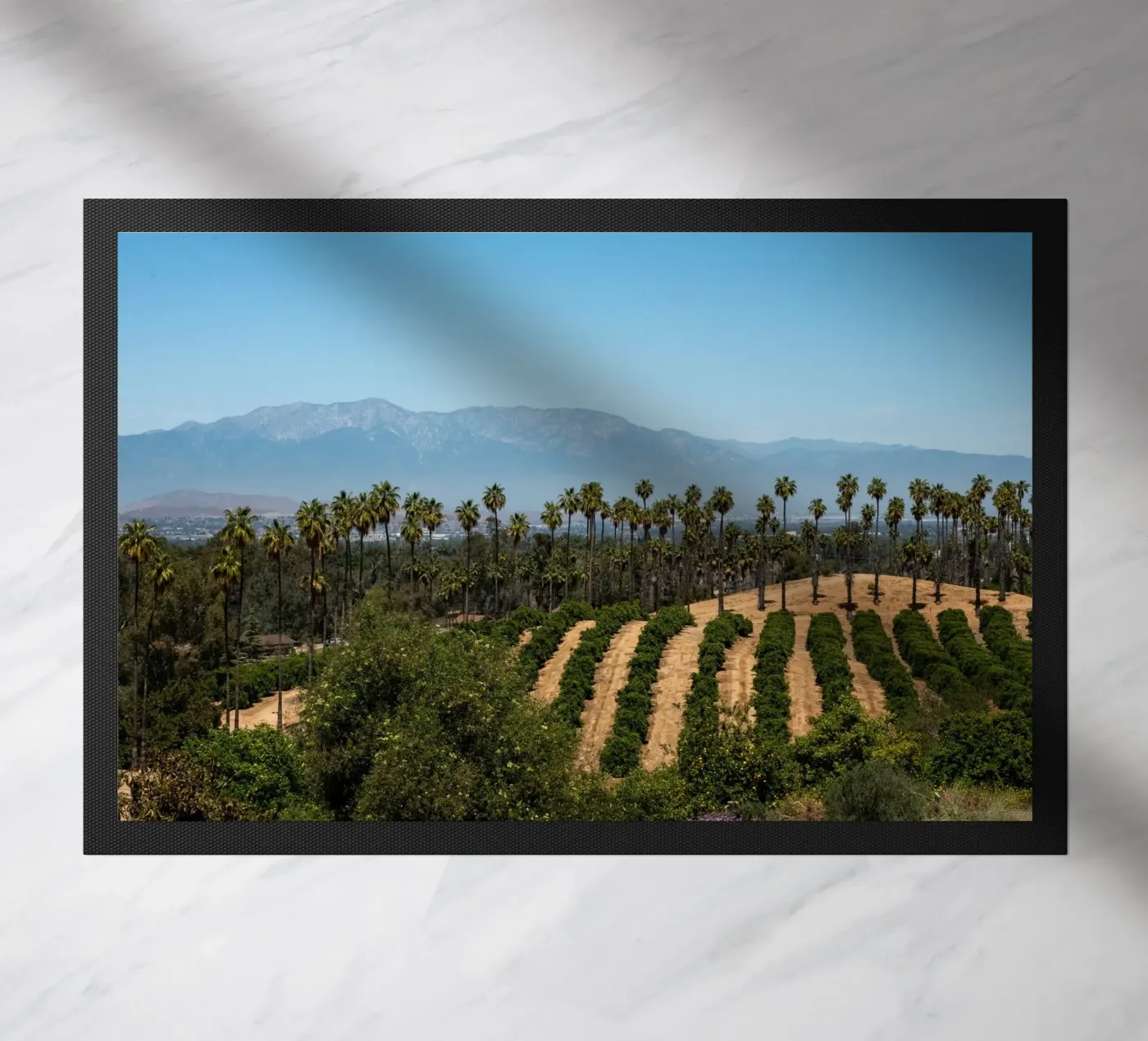 collina forestale zerbino da Earthly Visions