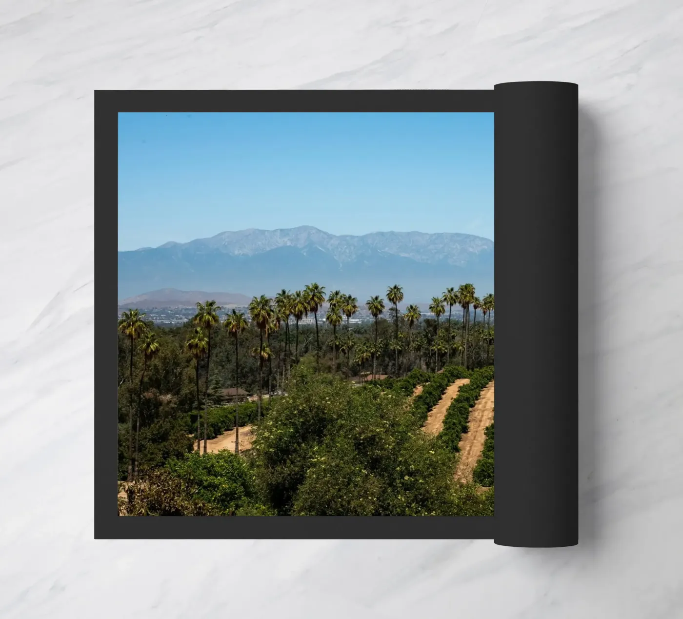 collina forestale zerbino da Earthly Visions