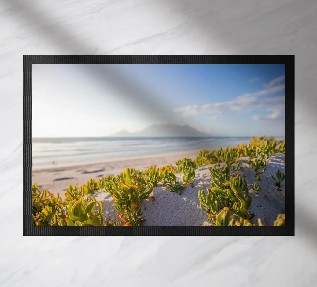 cactus che crescono in riva al mare zerbino da Earthly Visions