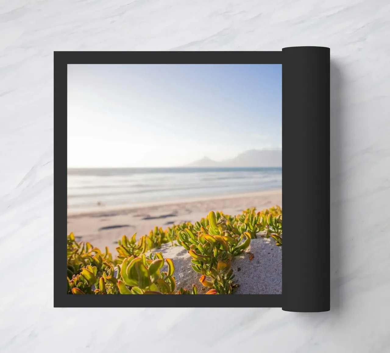 cactus che crescono in riva al mare zerbino da Earthly Visions