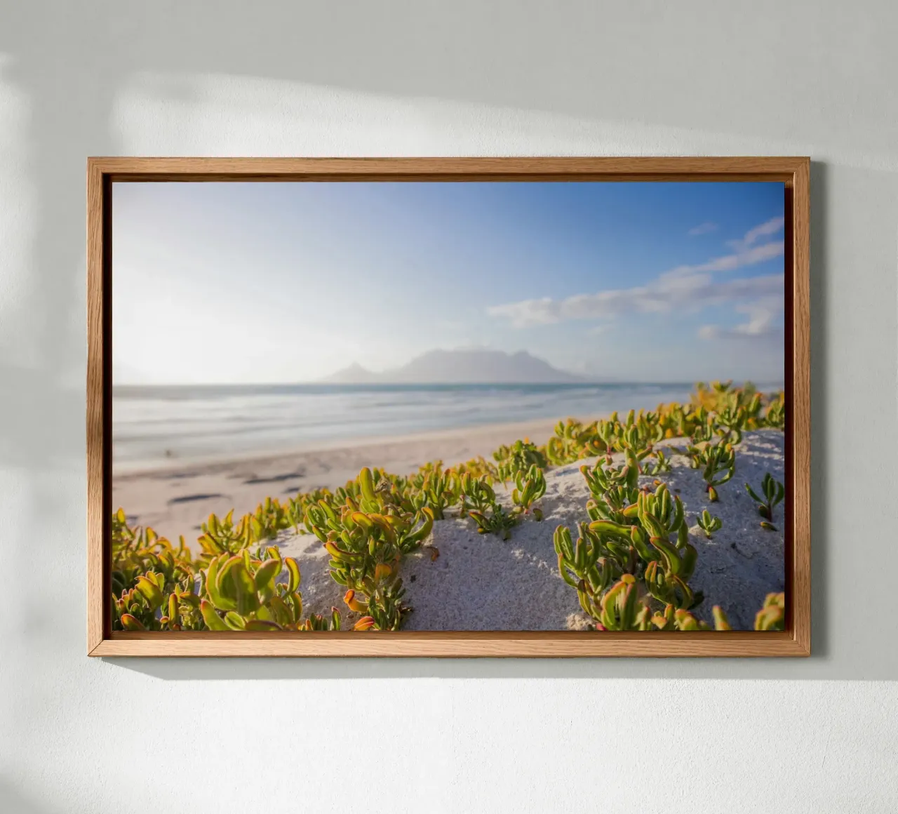 cactus che crescono in riva al mare tela con Cornice a cassetta da Earthly Visions