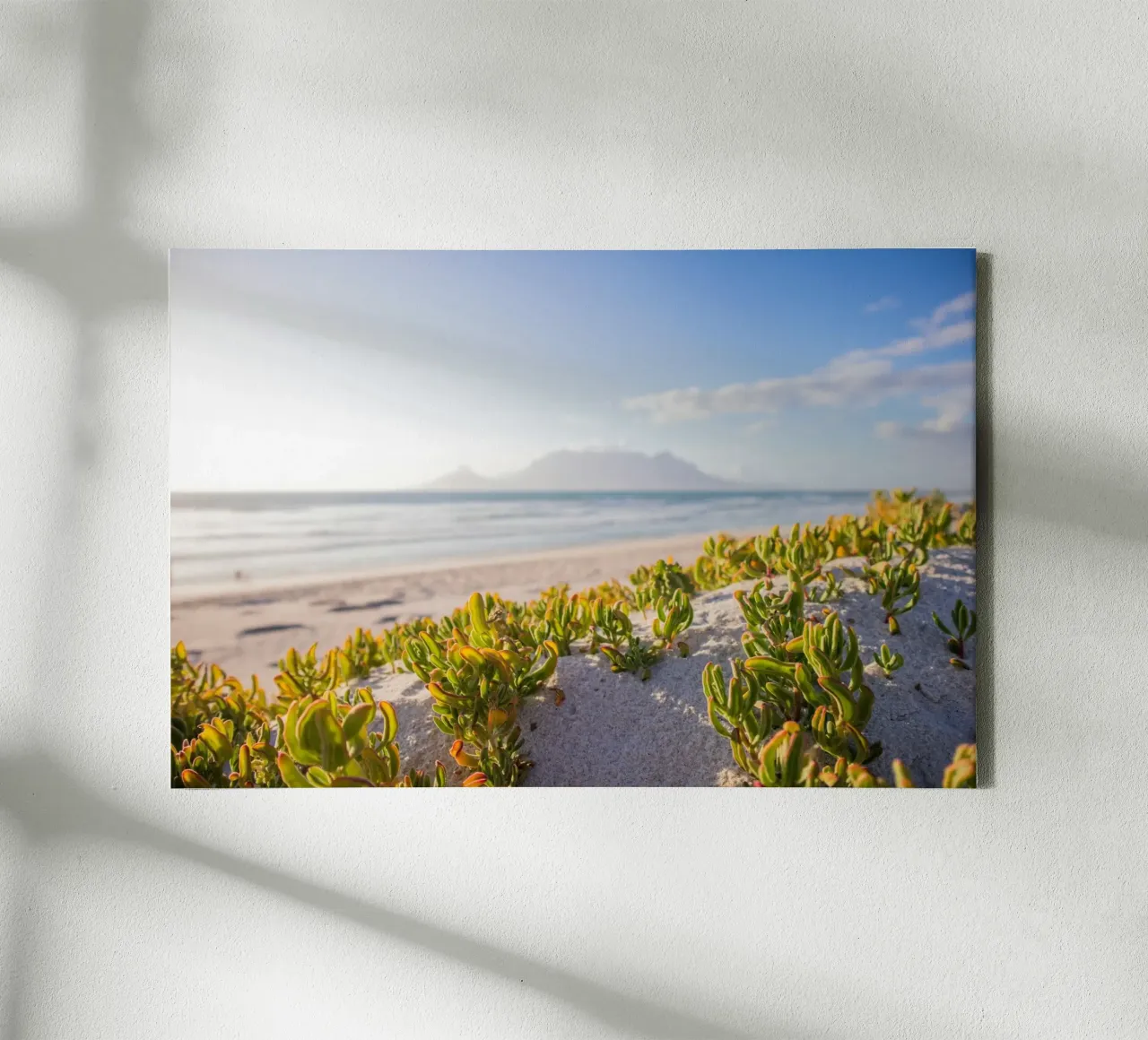 cactus che crescono in riva al mare tela con Cornice a cassetta da Earthly Visions