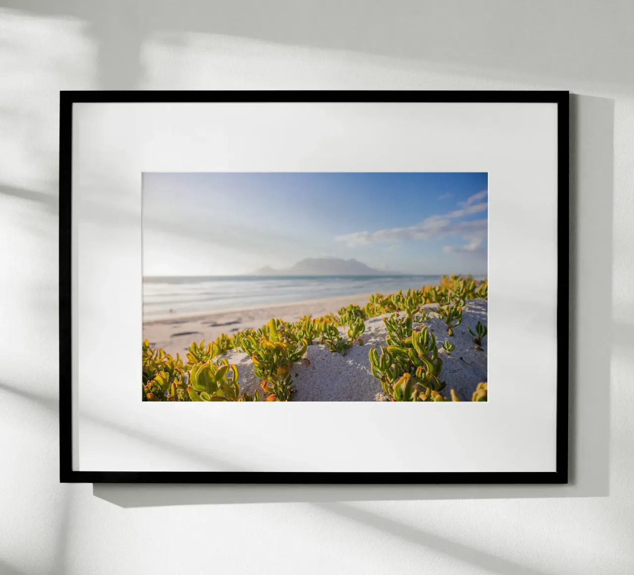 cactus che crescono in riva al mare poster con telaio in plastica da Earthly Visions