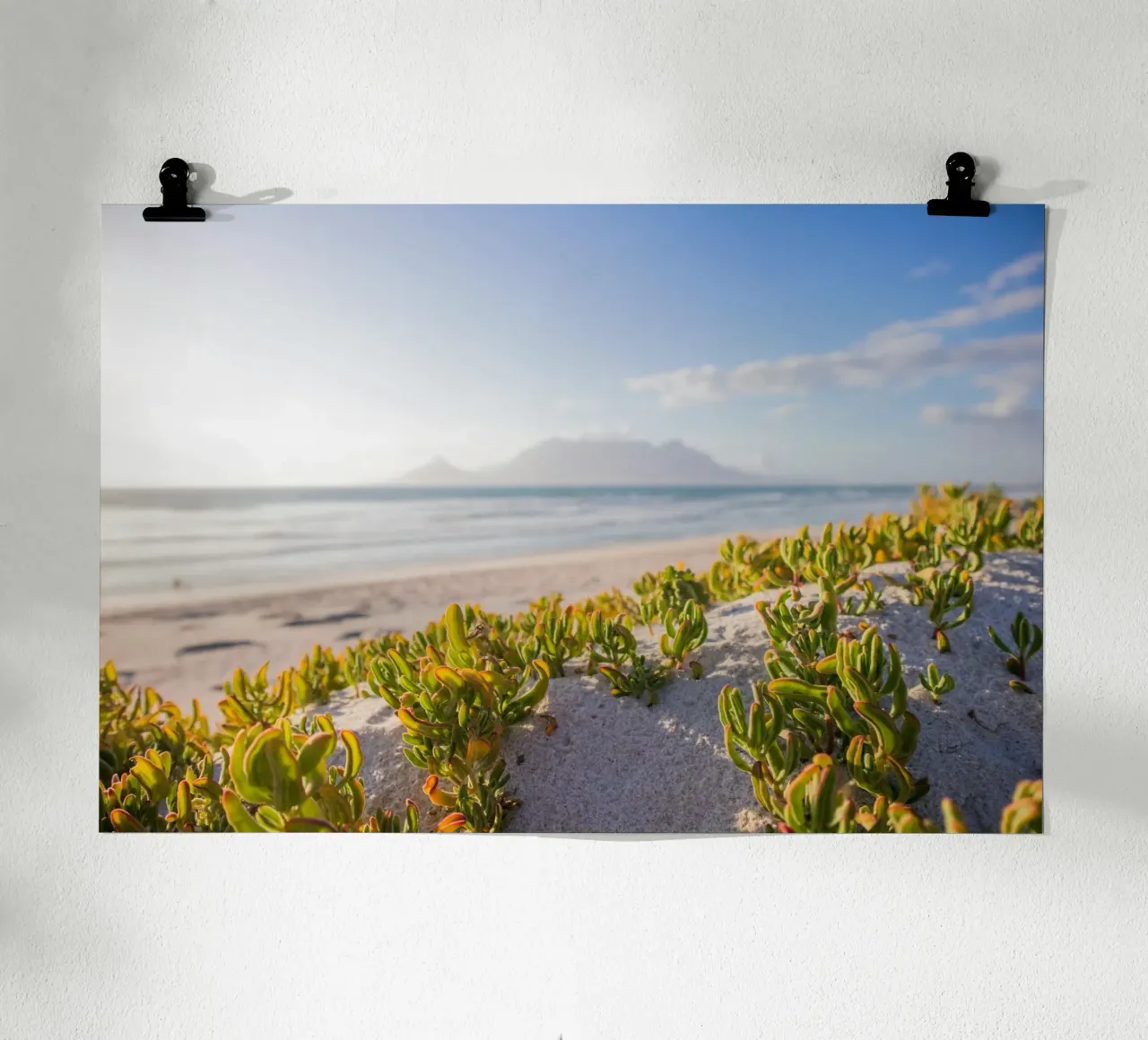 cactus che crescono in riva al mare poster con telaio in plastica da Earthly Visions