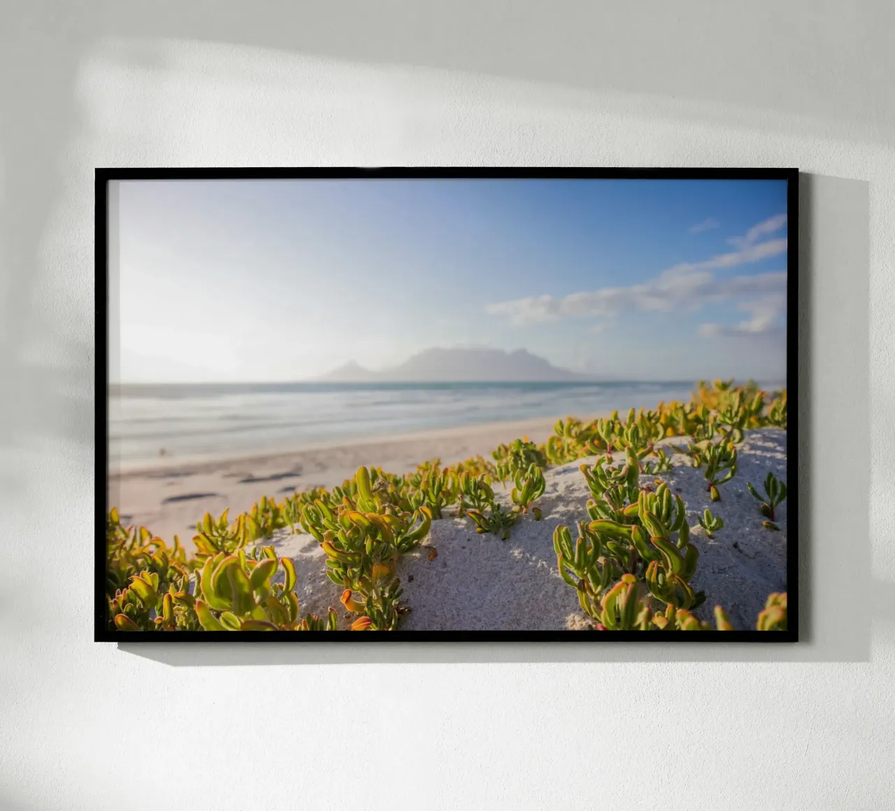 cactus che crescono in riva al mare poster con telaio in plastica da Earthly Visions