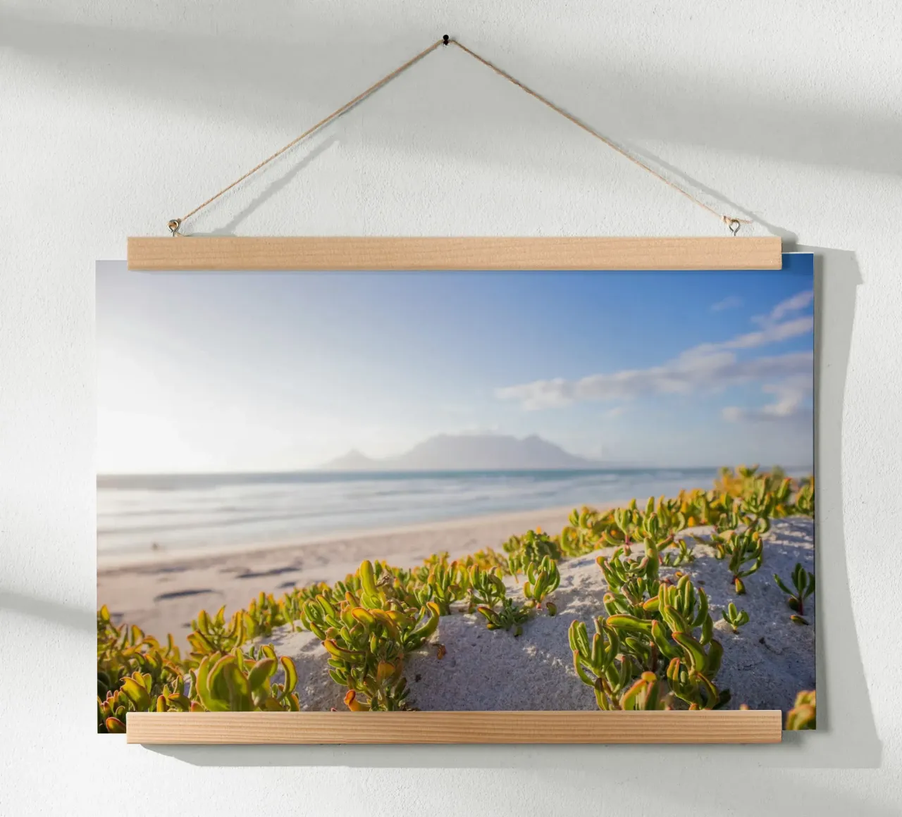cactus che crescono in riva al mare poster con telaio in plastica da Earthly Visions