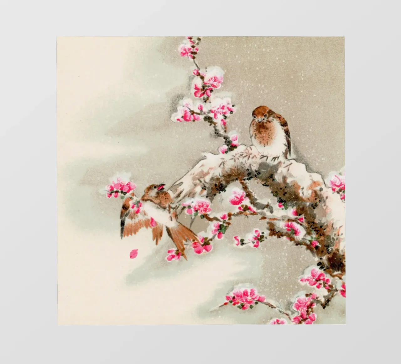 Bird perching on tree top, vintage Japanese pellicola backlit da vintageshop