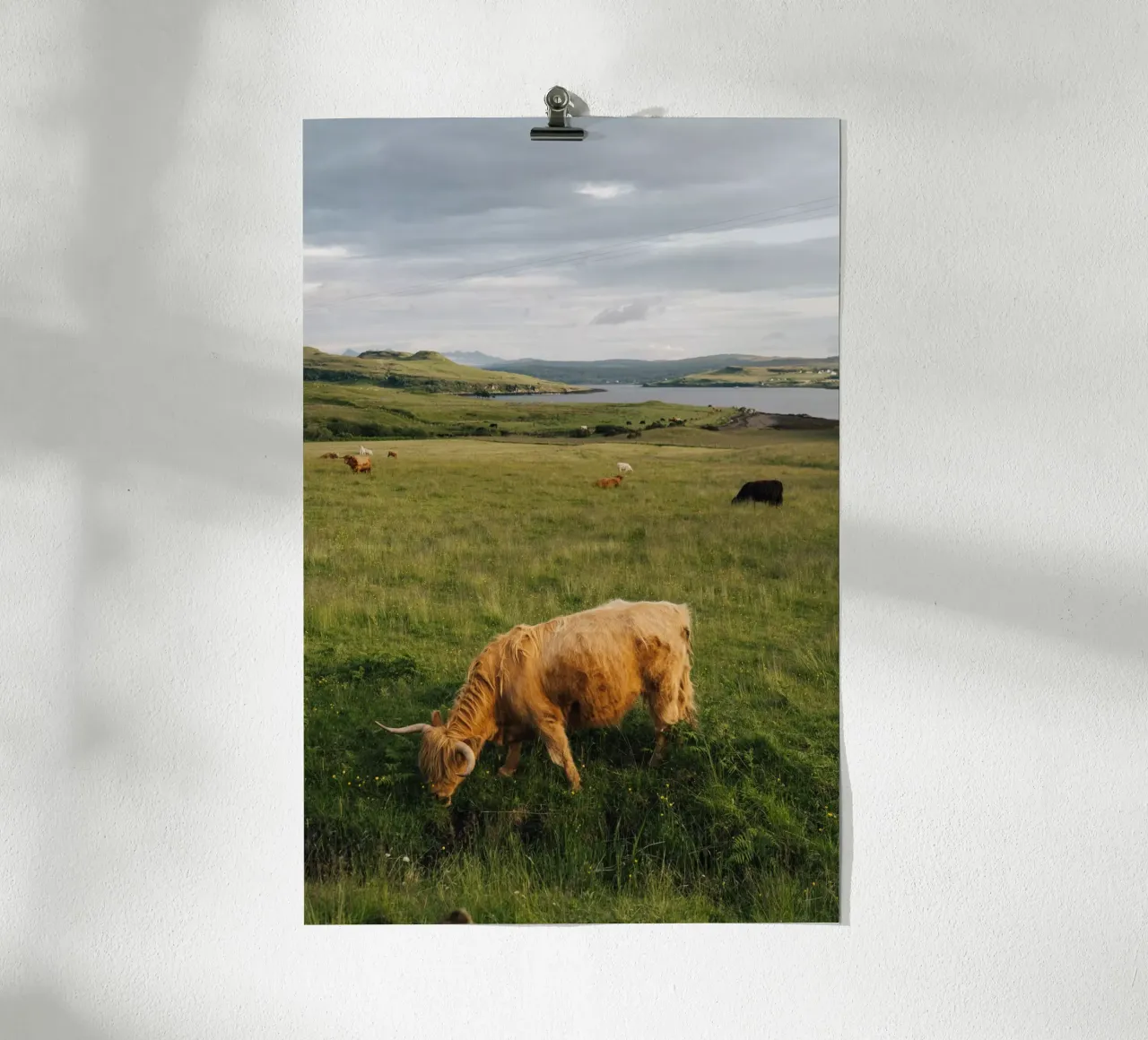 Beneath the Highland Sky carta hahnemühle da Lena Stamm