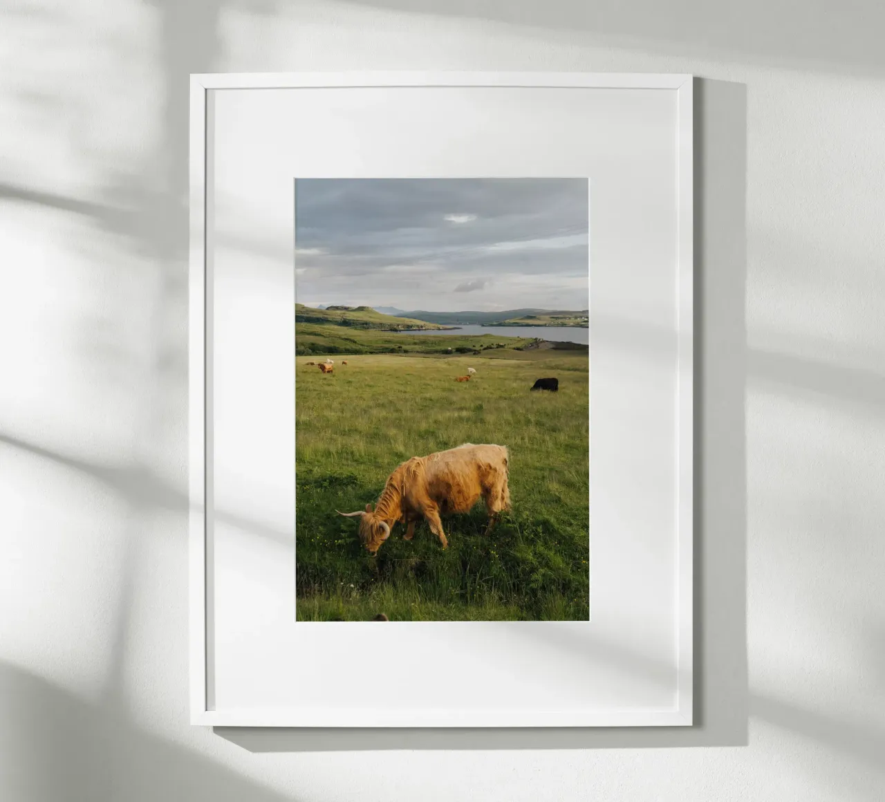 Beneath the Highland Sky carta hahnemühle da Lena Stamm