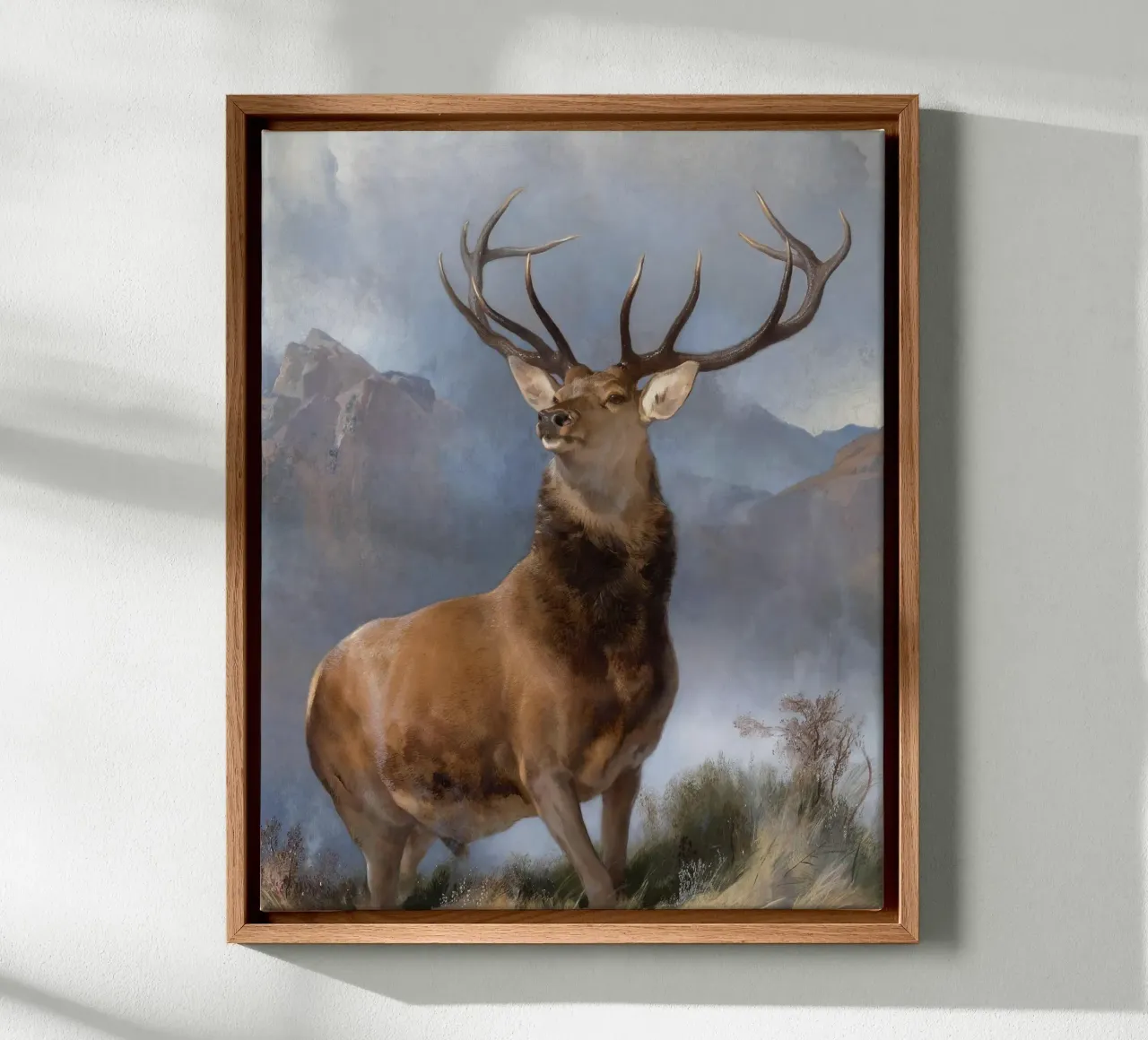 Red Deer, The Monarch of the Glen canvas with Floater frame by apoloprints