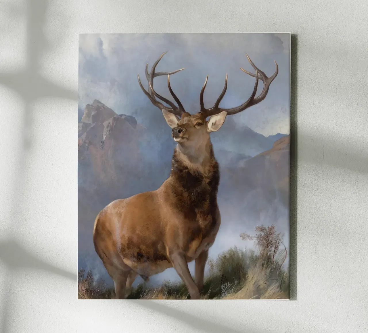Red Deer, The Monarch of the Glen canvas with Floater frame by apoloprints