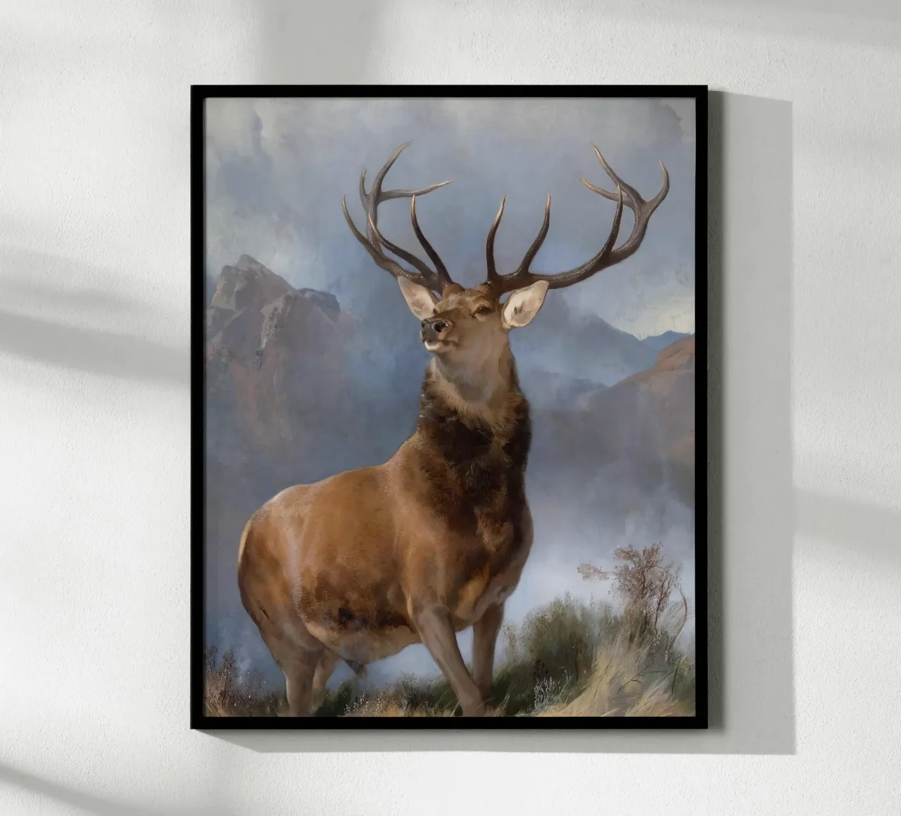 Red Deer, The Monarch of the Glen poster de apoloprints