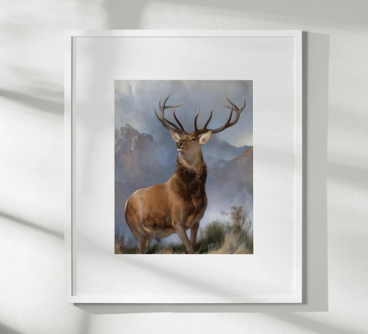 Red Deer, The Monarch of the Glen poster de apoloprints