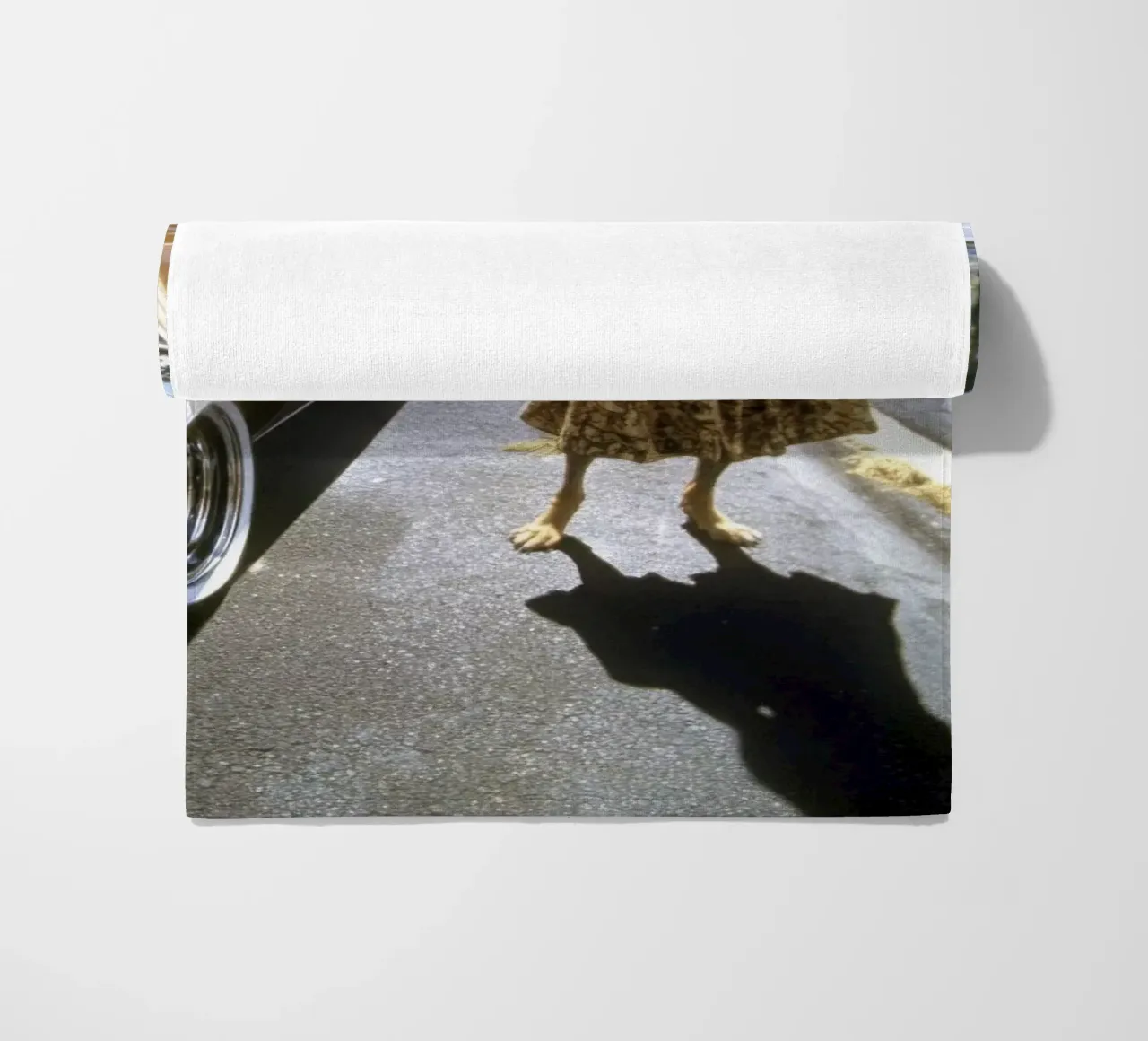 Zack telo mare da Affiches Chien Originales – Dogland
