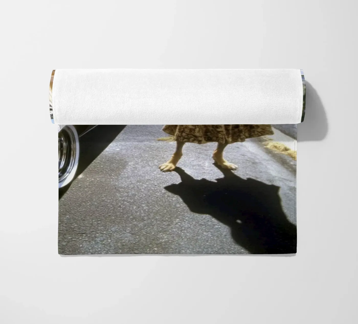 Zack telo mare da Affiches Chien Originales – Dogland