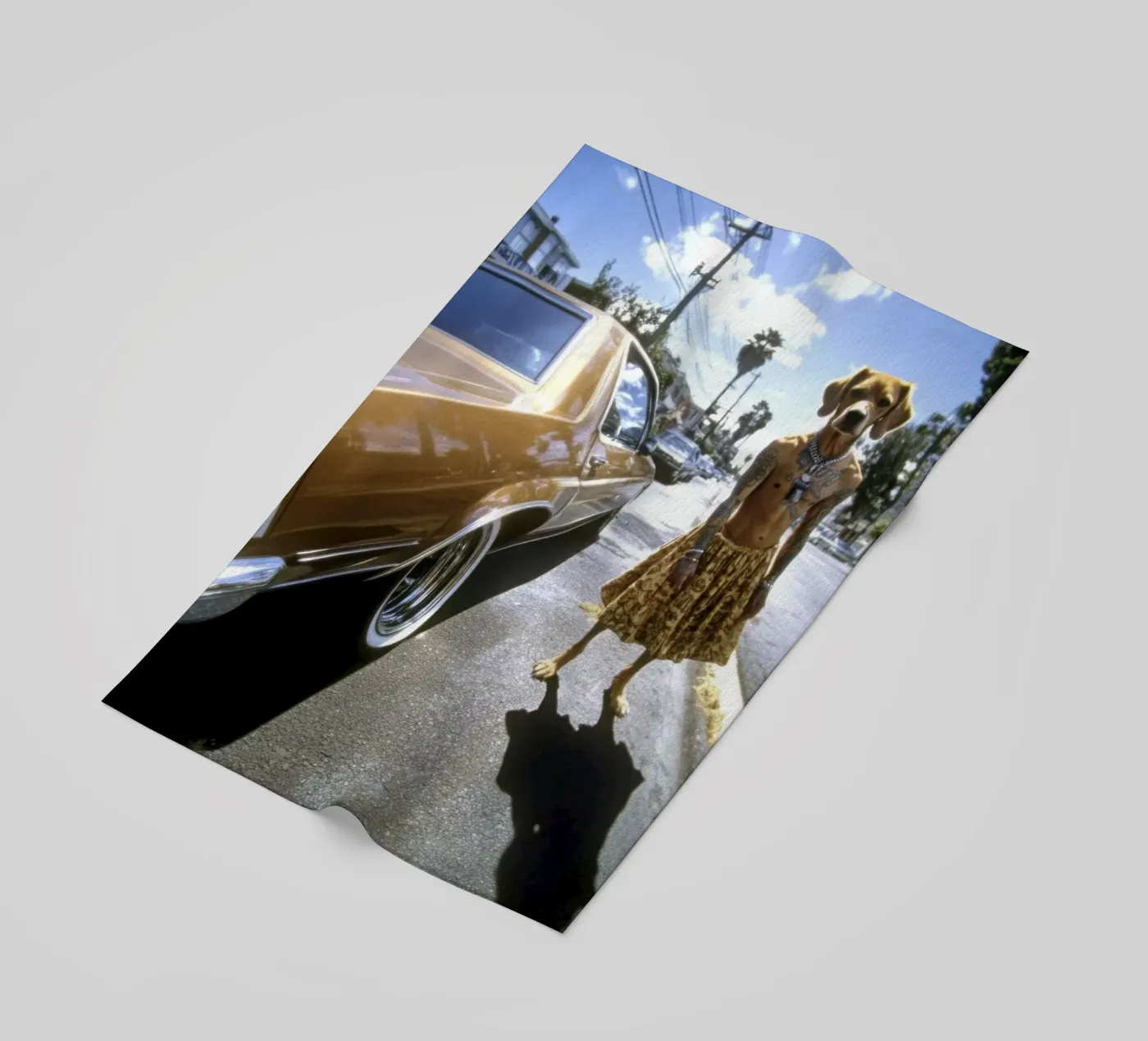 Zack telo mare da Affiches Chien Originales – Dogland