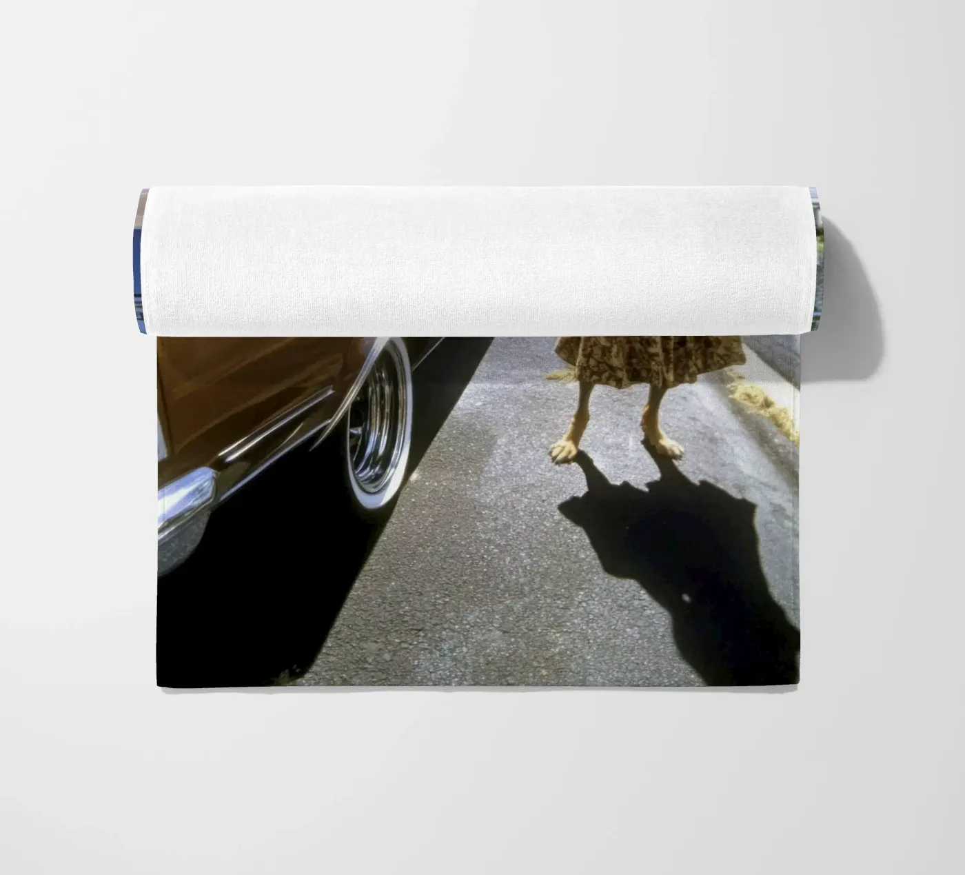 Zack telo mare da Affiches Chien Originales – Dogland