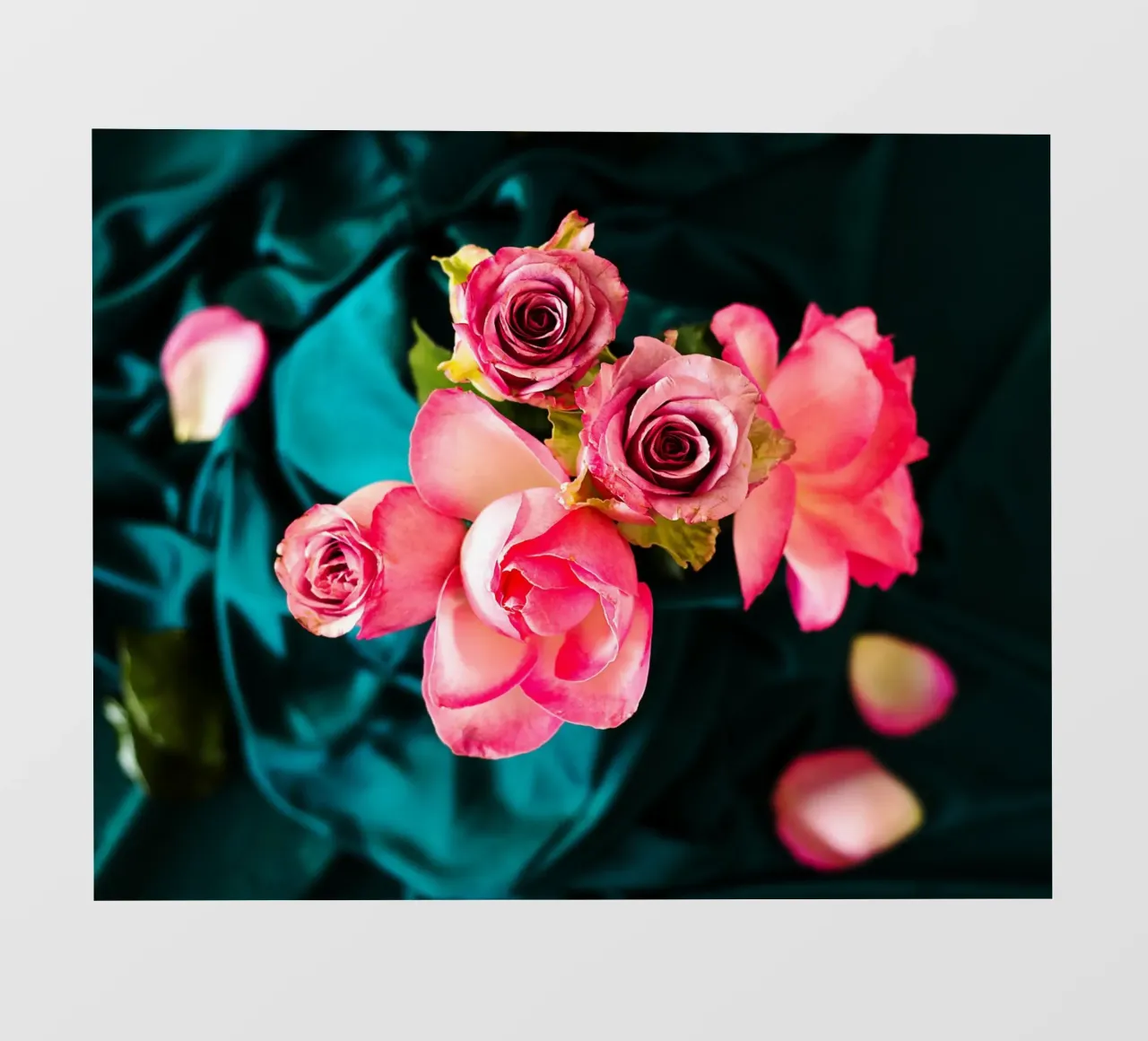 Rozen in fluwelen schaduwen - Kunstdruk fotobehang van jay
