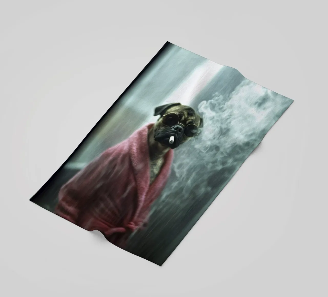 Hugo telo mare da Affiches Chien Originales – Dogland