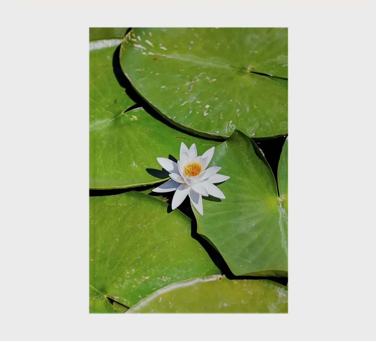 White Lotus Core - Fine Art Print notebook by jay