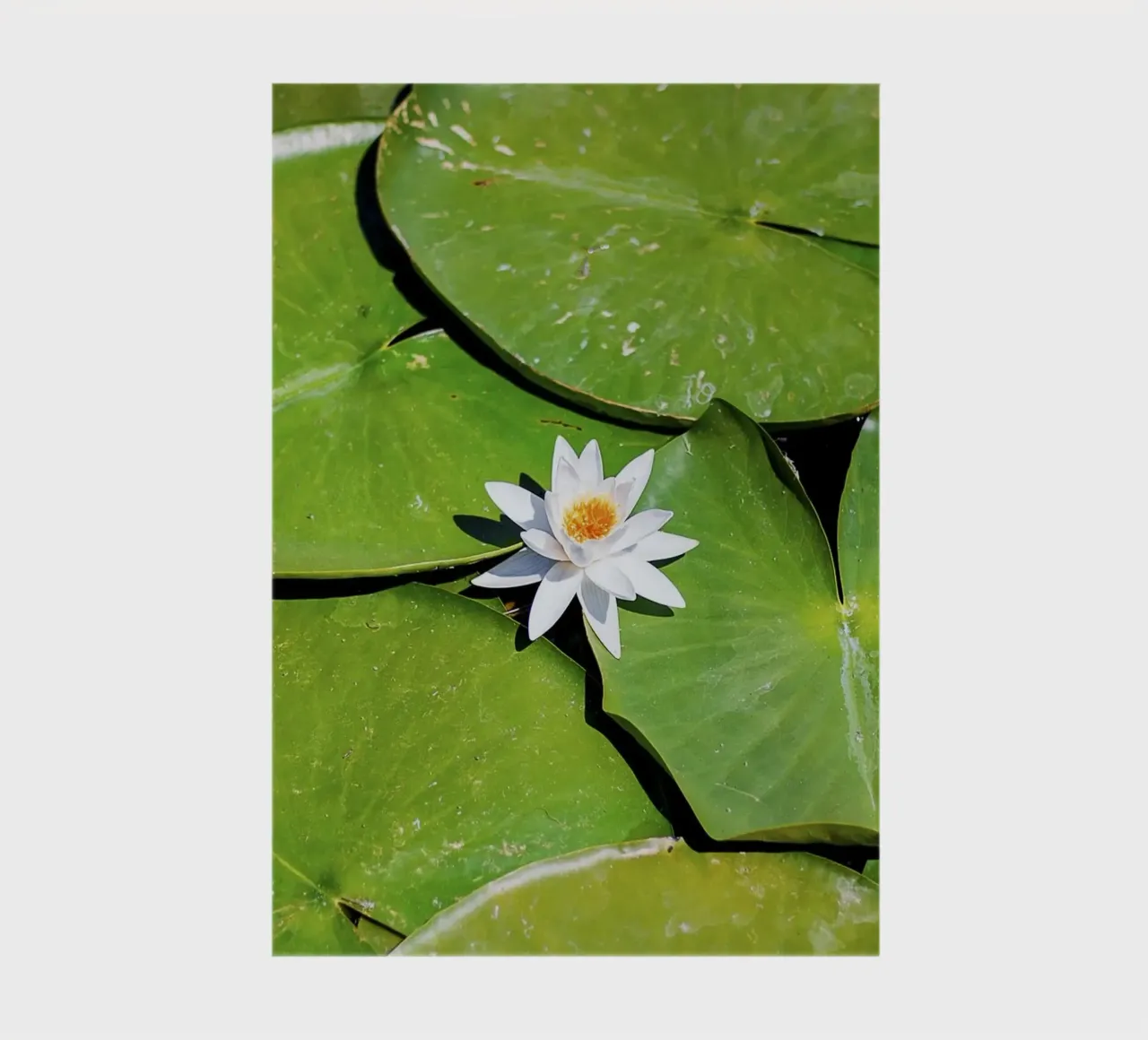White Lotus Core - Fine Art Print notebook by jay
