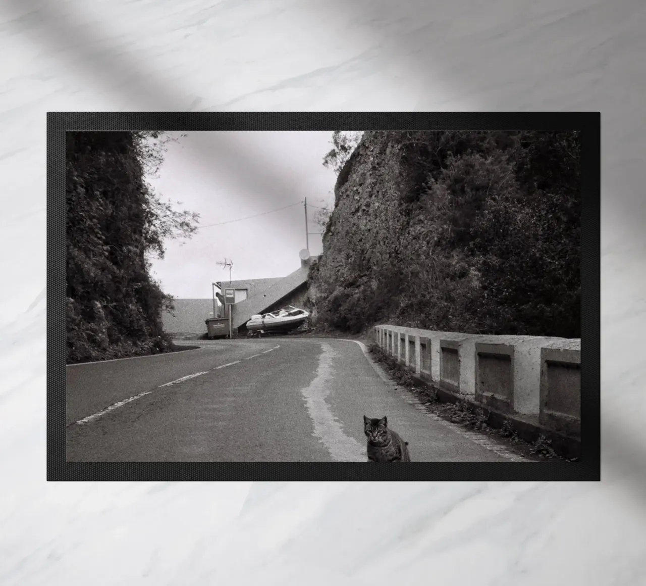 Gatto e barca zerbino da Mane