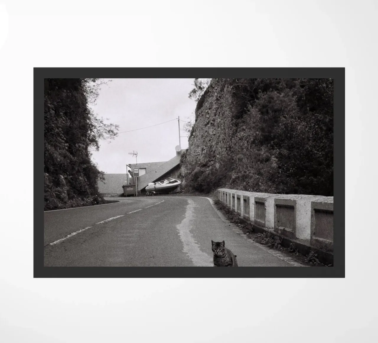 Gatto e barca zerbino da Mane