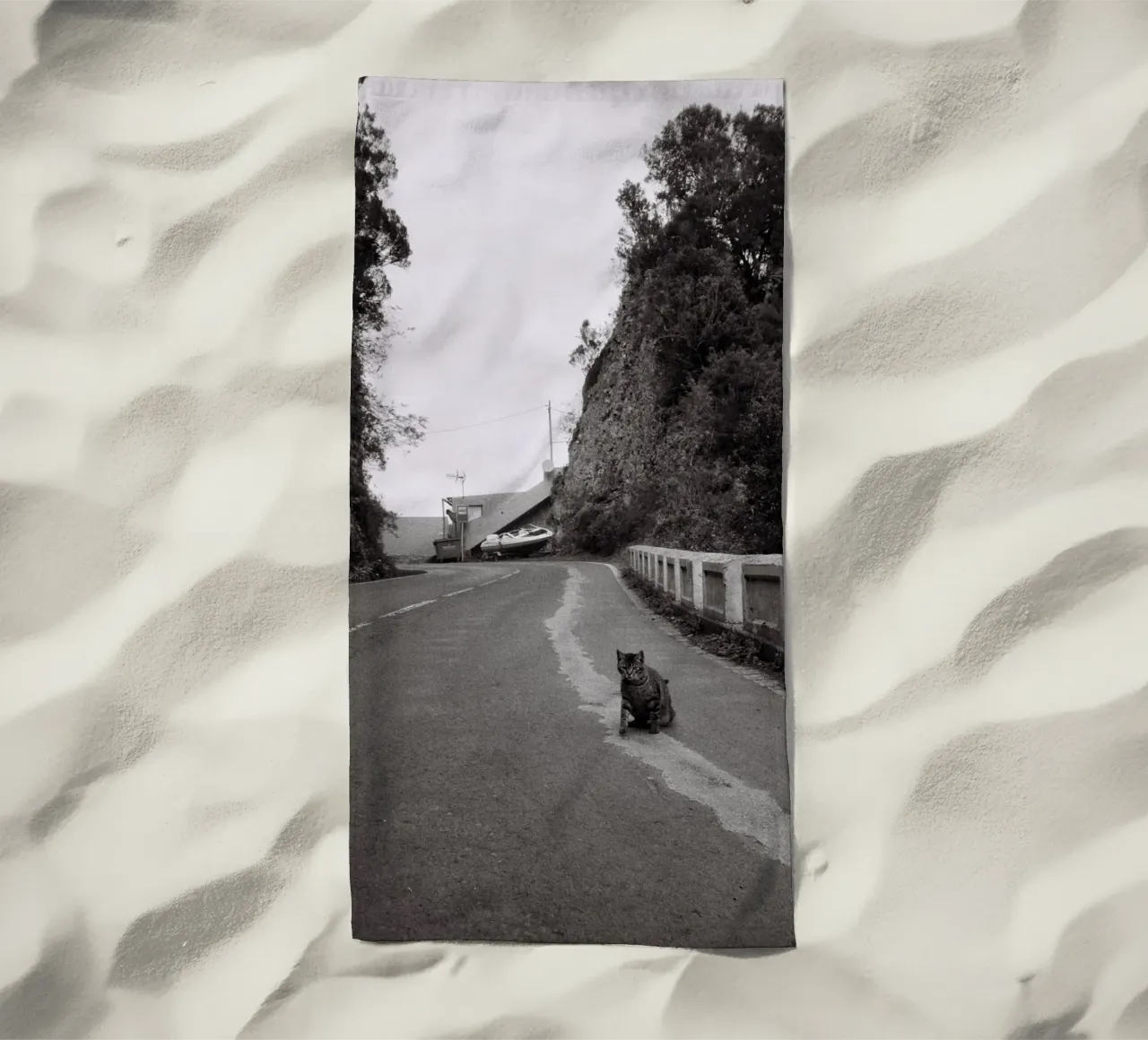 Gatto e barca telo mare da Mane