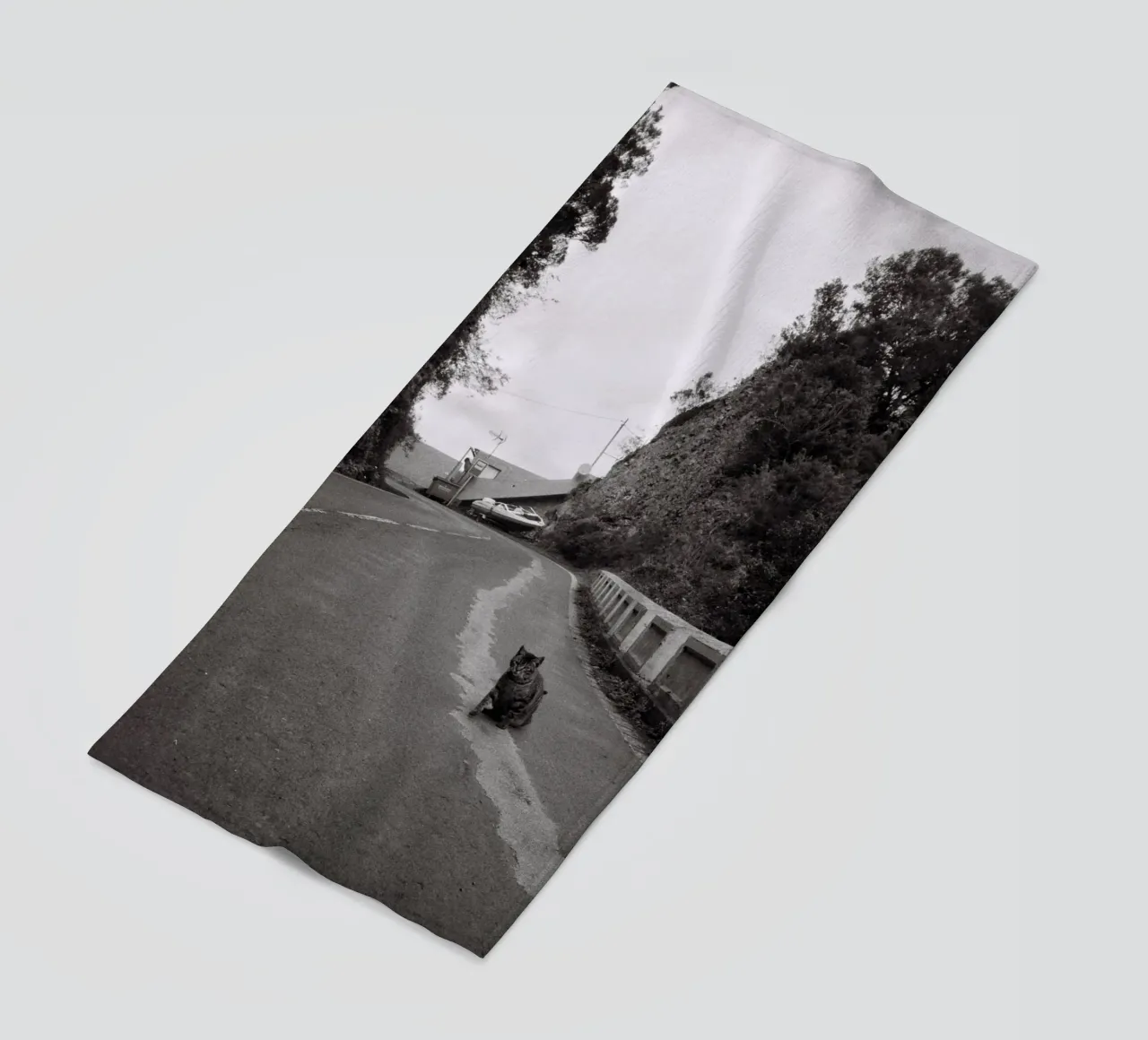 Gatto e barca telo mare da Mane