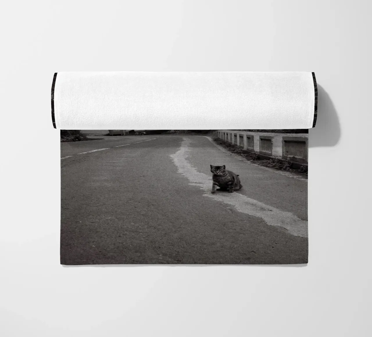 Gatto e barca telo mare da Mane