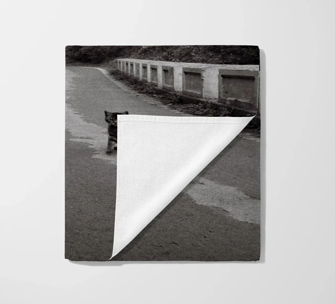 Gatto e barca telo mare da Mane