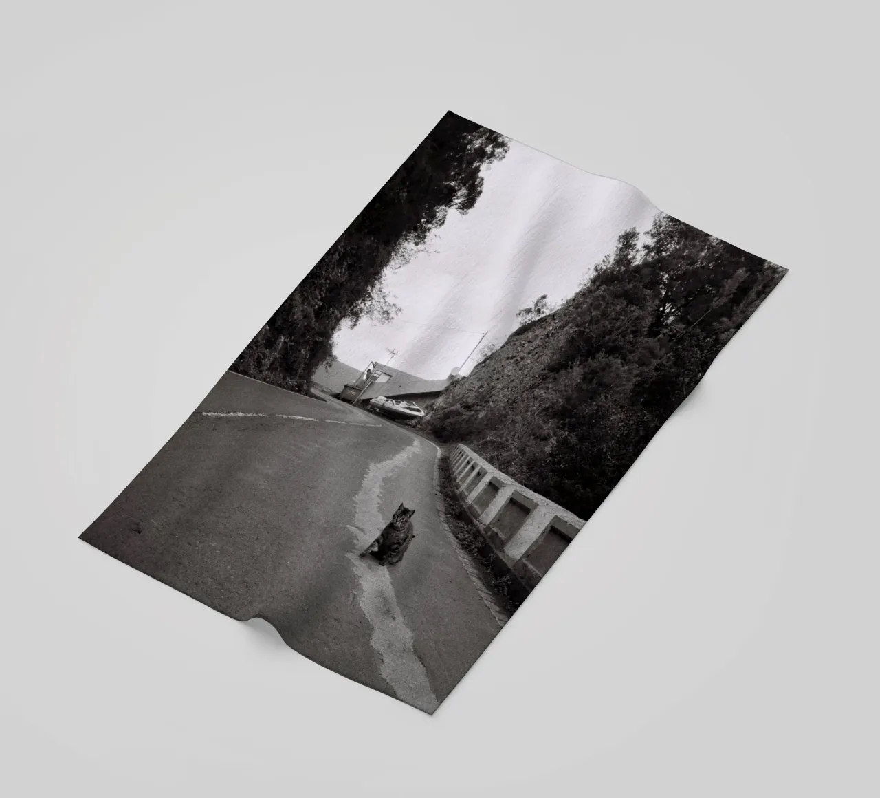 Gatto e barca telo mare da Mane