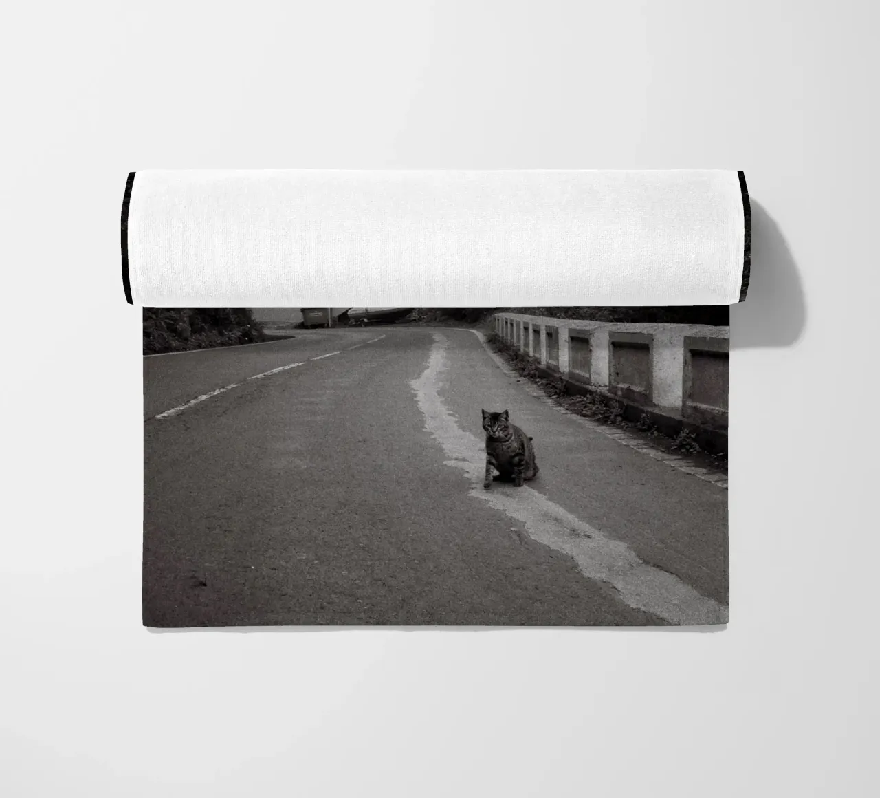 Gatto e barca telo mare da Mane