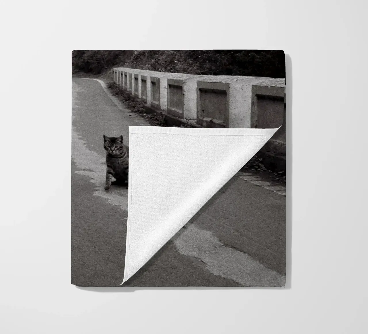 Gatto e barca telo mare da Mane