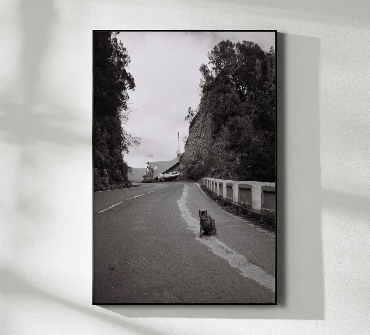 Gatto e barca plexiglass da Mane