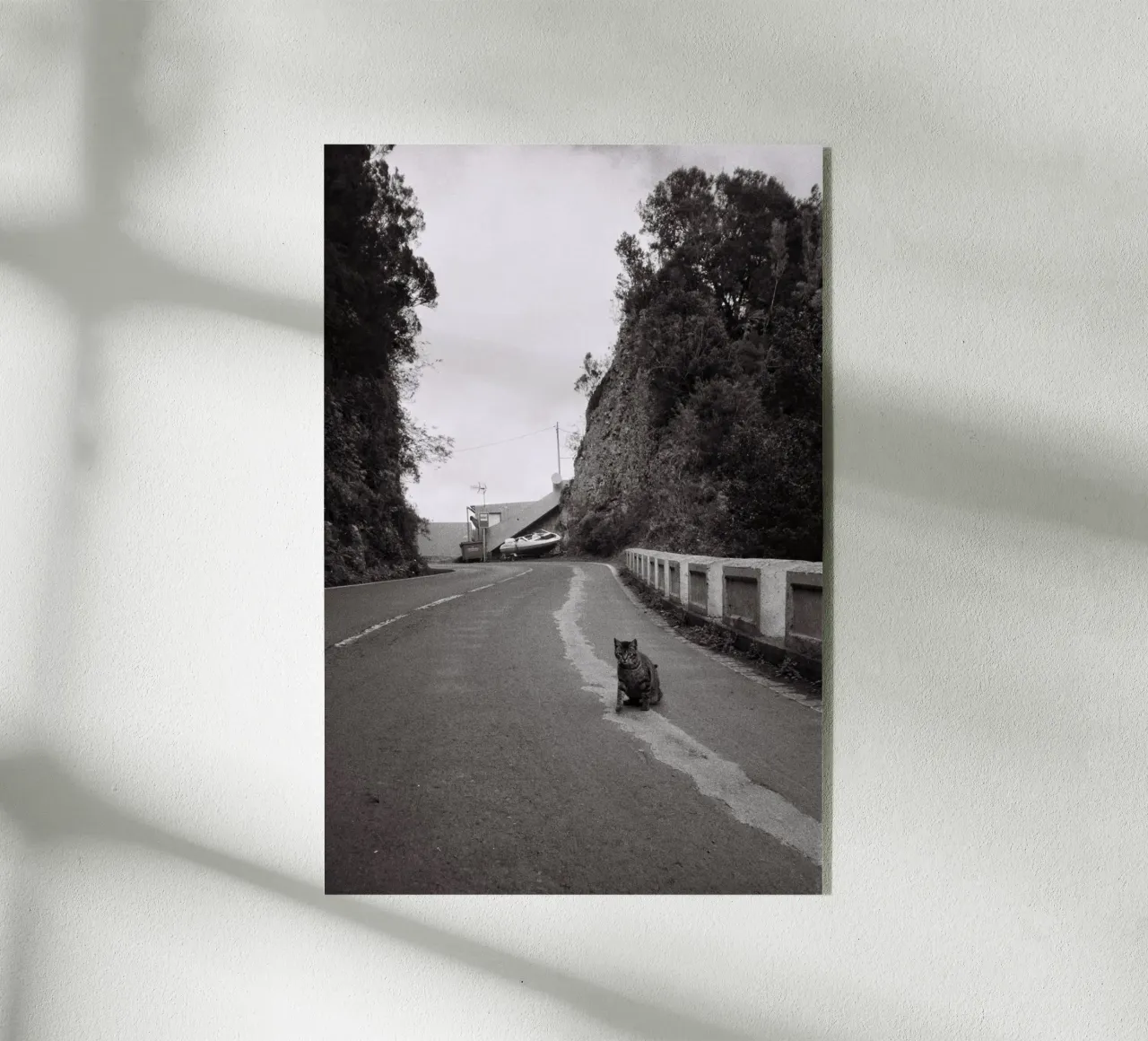 Gatto e barca plexiglass da Mane