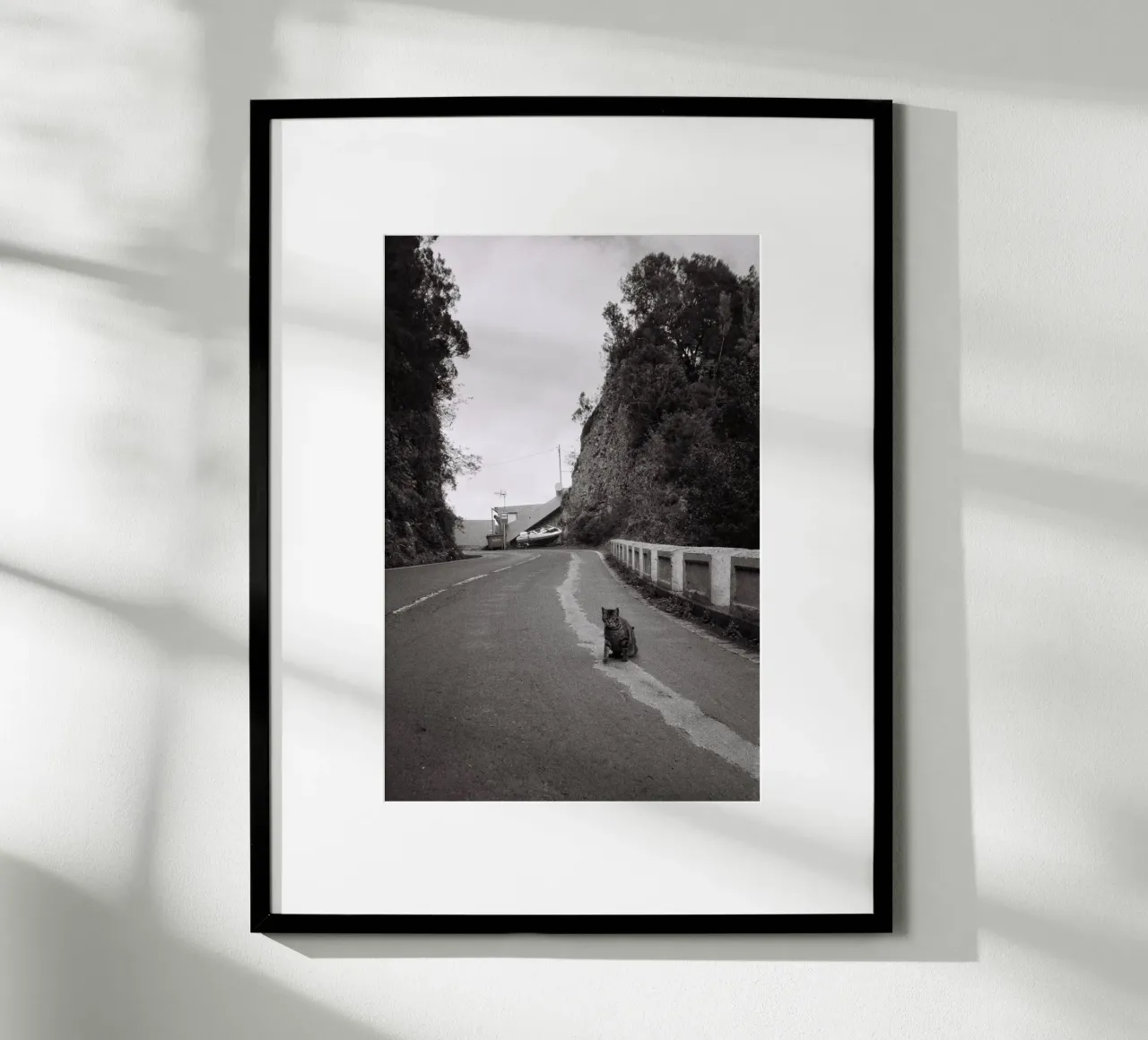 Gatto e barca poster da Mane