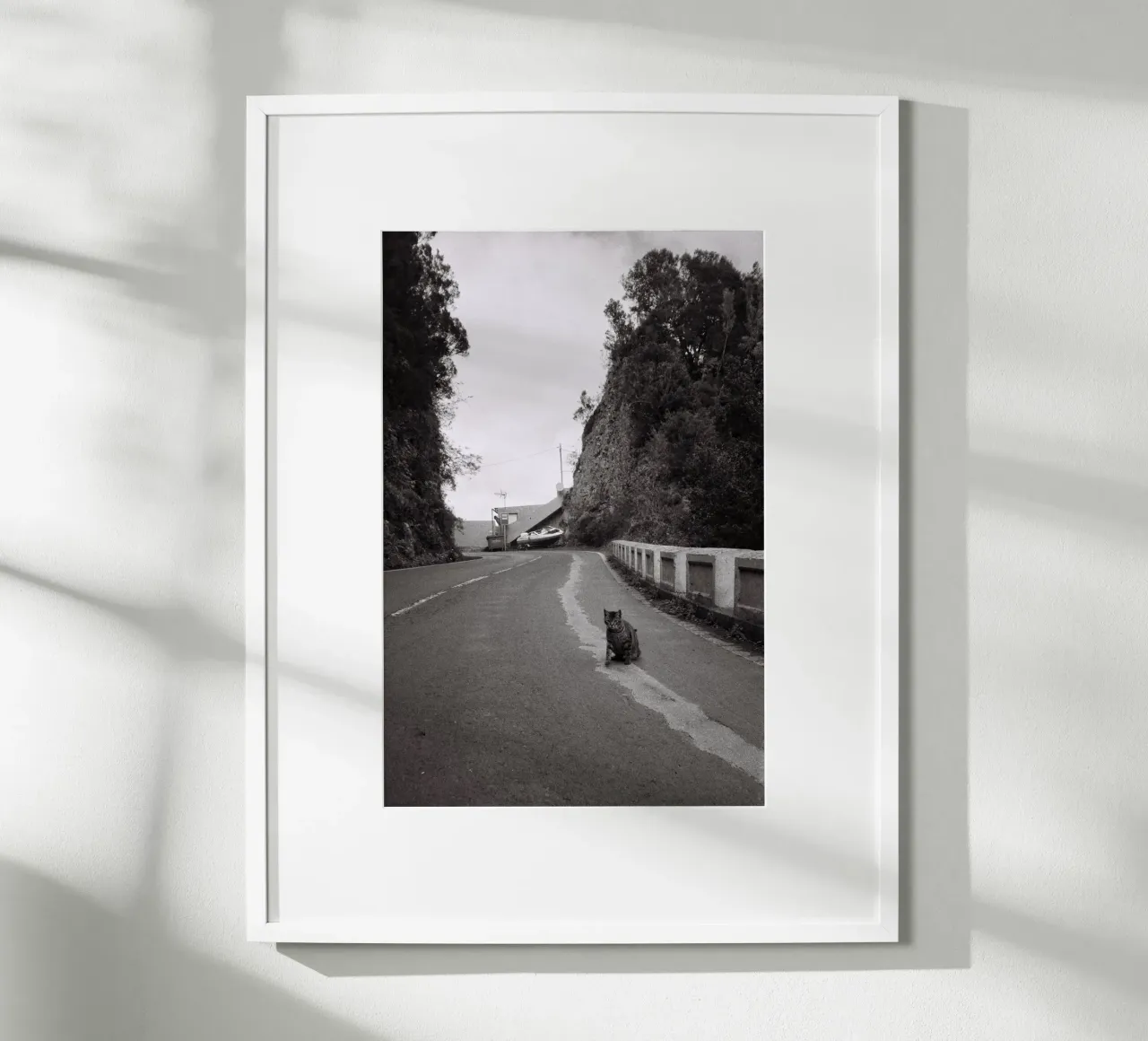 Gatto e barca poster da Mane